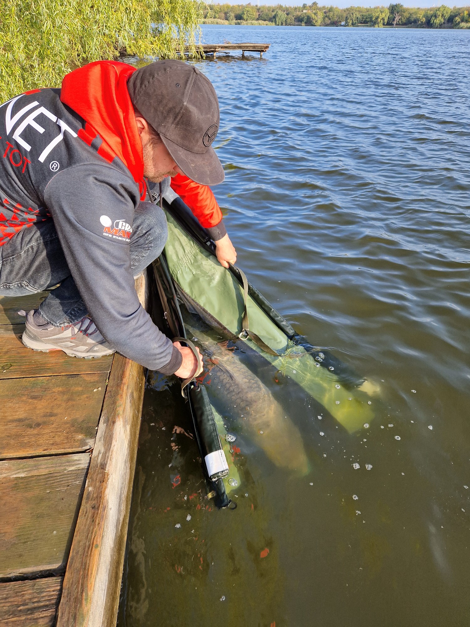 Tancabesti 13 octombrie 2022 - 20221015092653.jpg